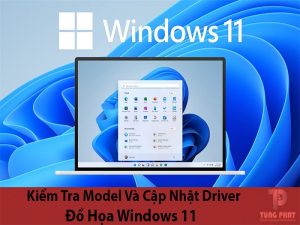 Cách kiểm tra Model và cập nhật Driver đồ họa Windows 11